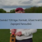 Domácí T20 liga: Formát, Účast hráčů, Zapojení fanoušků