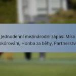 Jednodenní mezinárodní zápas: Míra skórování, Honba za běhy, Partnerství
