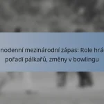 Jednodenní mezinárodní zápas: Role hráčů, pořadí pálkařů, změny v bowlingu