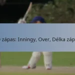 T20 zápas: Inningy, Over, Délka zápasu