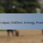 T20 zápas: Ověření, Inningy, Pravidla