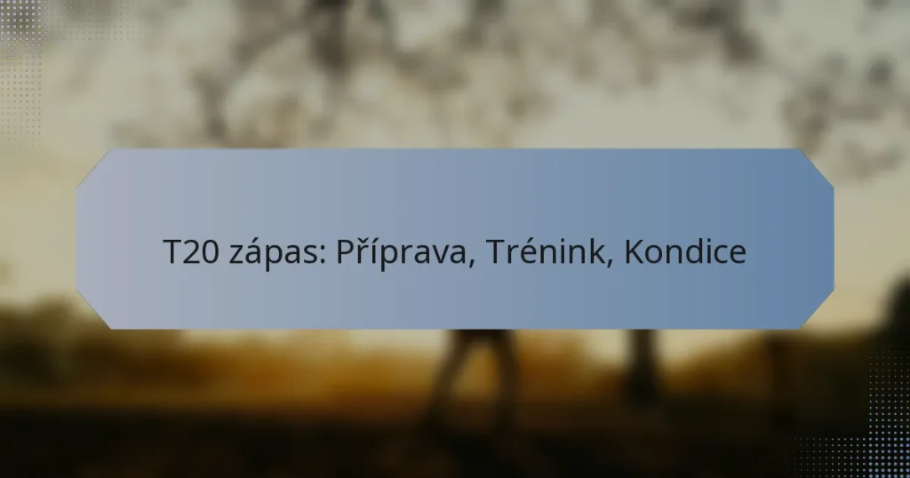 T20 zápas: Příprava, Trénink, Kondice