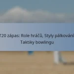 T20 zápas: Role hráčů, Styly pálkování, Taktiky bowlingu