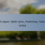 T20 zápas: Výběr týmu, Podmínky, Faktory hřiště