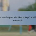 Testovací zápas: Mediální pokrytí, Analýza, Komentář