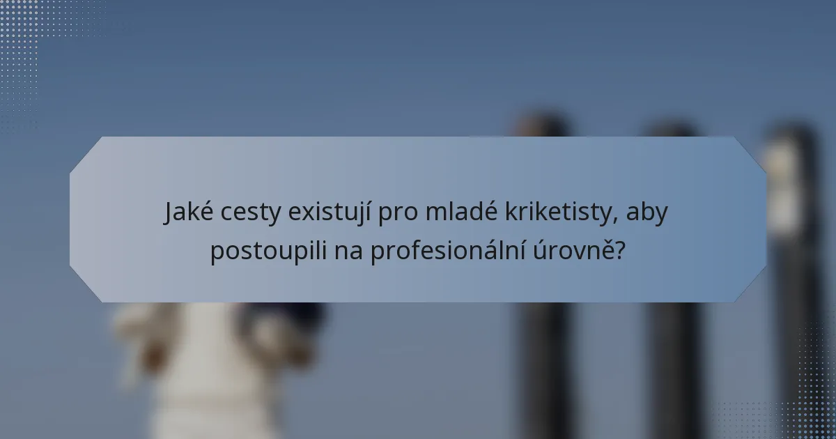 Jaké cesty existují pro mladé kriketisty, aby postoupili na profesionální úrovně?