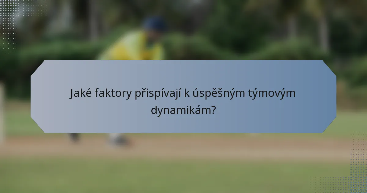 Jaké faktory přispívají k úspěšným týmovým dynamikám?