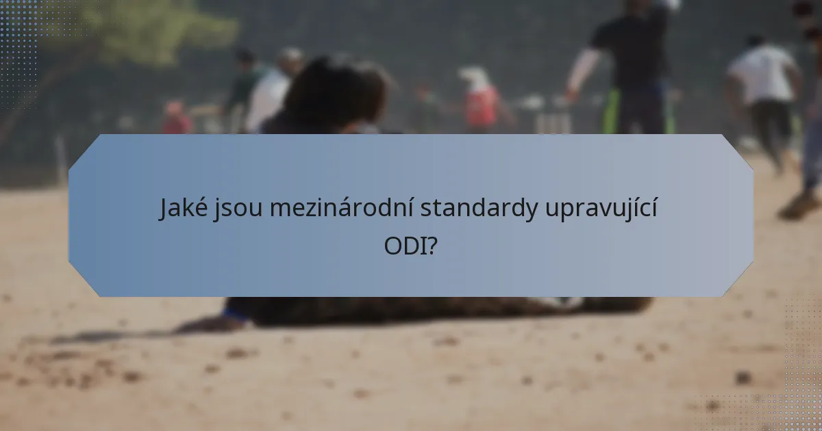 Jaké jsou mezinárodní standardy upravující ODI?