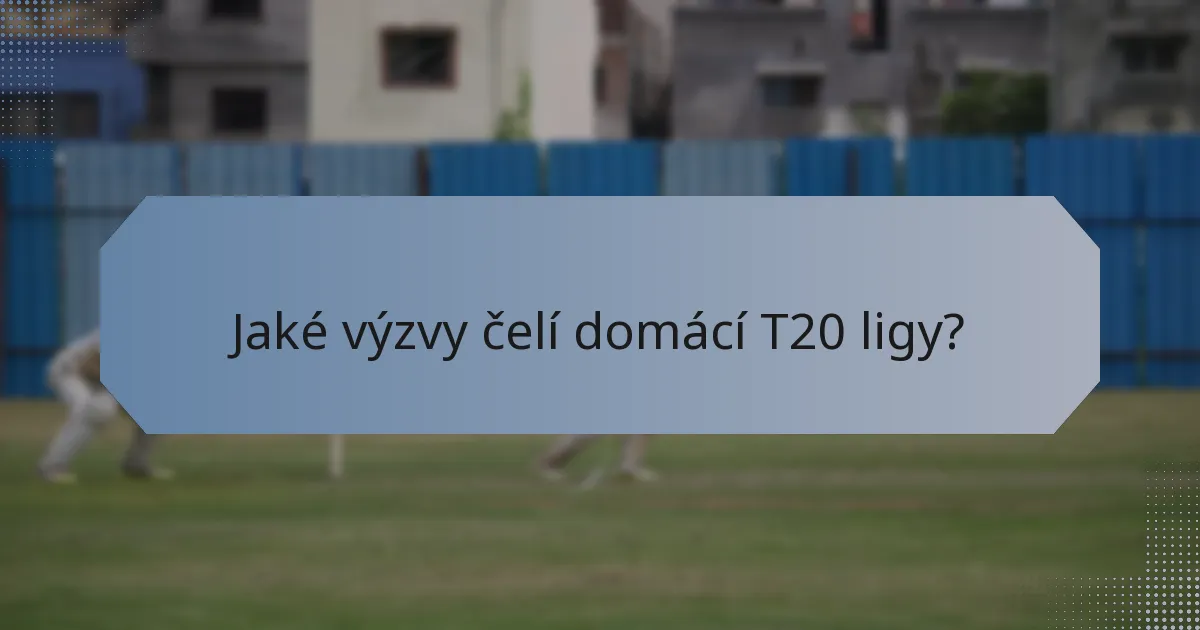 Jaké výzvy čelí domácí T20 ligy?