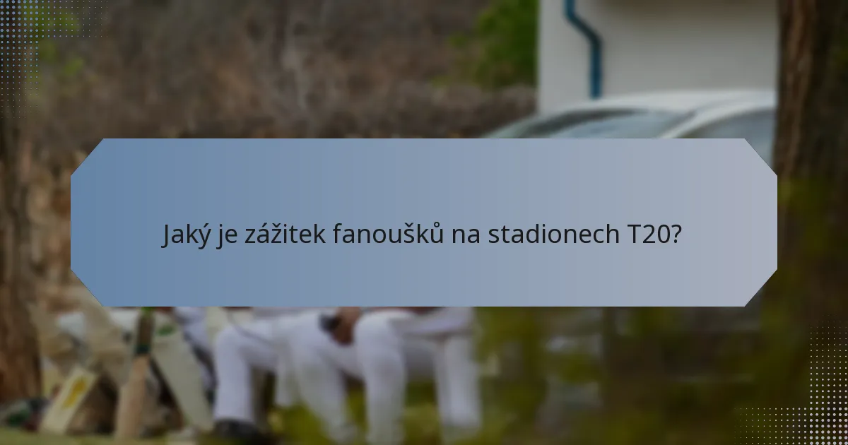 Jaký je zážitek fanoušků na stadionech T20?