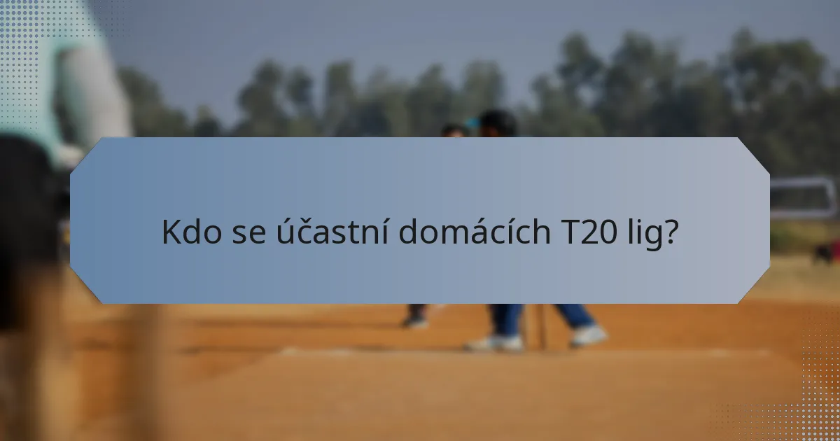Kdo se účastní domácích T20 lig?